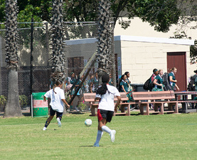 gallery-29-897-alex-sports-festival-mar-18-2026-at-4-32-pm-4.jpg