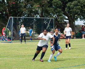 gallery-29-893-alex-sports-festival-mar-18-2026-at-4-32-pm.jpg