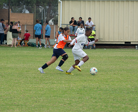 gallery-29-909-alex-sports-festival-mar-18-2026-at-4-32-pm-16.jpg