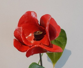 gallery-49-1136-3c-wwi-centenary-tower-of-london-poppy.jpg